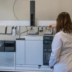 cromatógrafo de gases