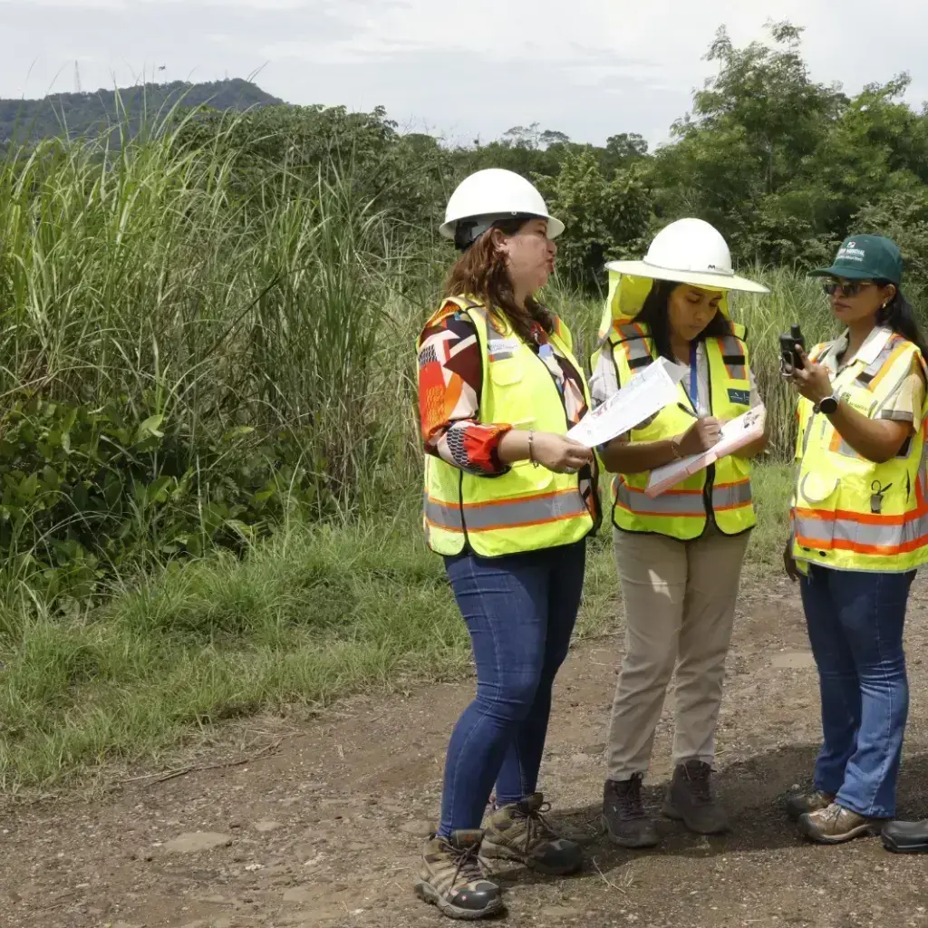 Esta imagen refleja el proceso de evaluación del impacto ambiental que se lleva a cabo antes de iniciar proyectos de construcción, con el objetivo de minimizar los efectos negativos sobre el entorno natural.